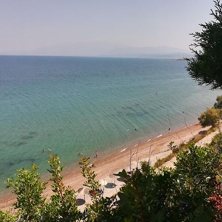 Koralli Sea View Hotel Káto Achaḯa Ngoại thất bức ảnh