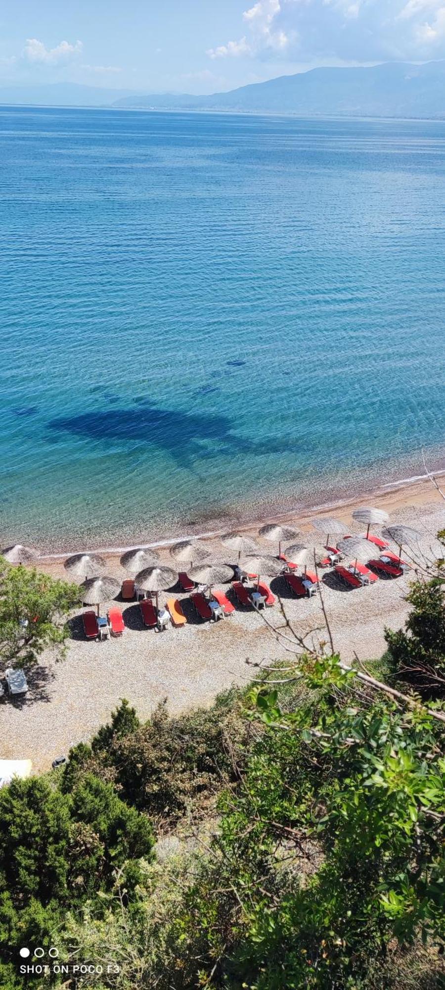 Koralli Sea View Hotel Káto Achaḯa Ngoại thất bức ảnh